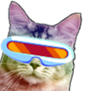 Cat Bop — cat emoji for Slack & Discord (Slack)