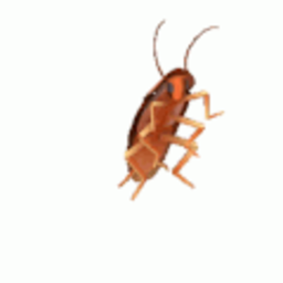 Dancing Cockroach — cartoon emoji for Slack & Discord (Discord)