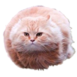Hoverkitty 2 — cat emoji for Slack & Discord (Discord)