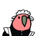 Maid Parrot — bird emoji for Slack & Discord