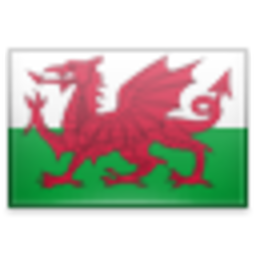 Flag Wls — wales emoji for Slack & Discord (Discord)