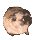 Pug Dance — pug emoji for Slack & Discord