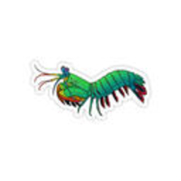 Mantis Shrimp — cartoon emoji for Slack & Discord (Discord)