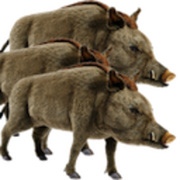 30 50 Feral Hogs — animal emoji for Slack & Discord (Discord)