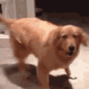 Excited Dog — dog emoji for Slack & Discord