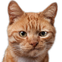 Cat Smirk — cat emoji for Slack & Discord