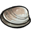 Clam — nature emoji for Slack & Discord