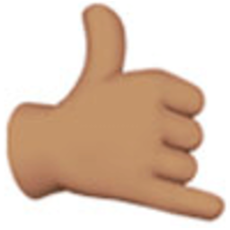 Shaka2 — hand-gesture emoji for Slack & Discord (Discord)