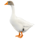Goose Full — animal emoji for Slack & Discord