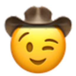 Winking Cowboy — emoji emoji for Slack & Discord (Discord)