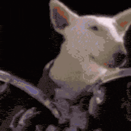 Spudsmackenzie Drums — dog emoji for Slack & Discord (Discord)