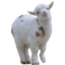 Goat — animal emoji for Slack & Discord (Discord)