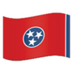 Tennessee 4 — flag emoji for Slack & Discord (Discord)