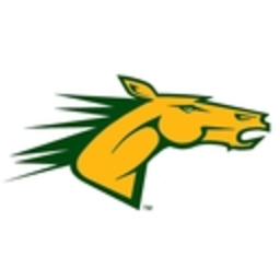 Suny Delhi Bronco — logo emoji for Slack & Discord (Discord)