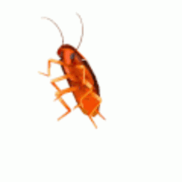 Dancing Rainbow Cockroach — animal emoji for Slack & Discord (Discord)