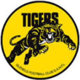Afl Tigers — logo emoji for Slack & Discord (Discord)