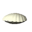Clam Pearl — seashell emoji for Slack & Discord