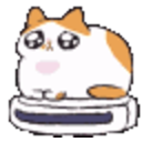 Cat Roomba — cartoon emoji for Slack & Discord