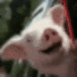 Wee — animal emoji for Slack & Discord (Discord)