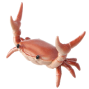 Pencrab — cartoon emoji for Slack & Discord