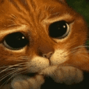 Please Cat — cute emoji for Slack & Discord