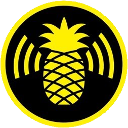 Pineapple Hak5 — logo emoji for Slack & Discord