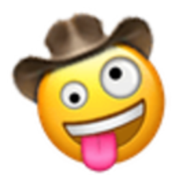 Zany Cowboy — cartoon emoji for Slack & Discord (Discord)