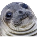 Awkward Seal — animal emoji for Slack & Discord