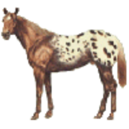 Horse 2 — animal emoji for Slack & Discord (Discord)