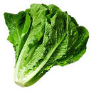 Romaine — lettuce emoji for Slack & Discord