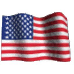American Flag 2 — american emoji for Slack & Discord (Discord)