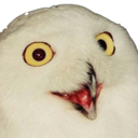Orly — owl emoji for Slack & Discord