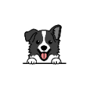 Bordercollie — cute emoji for Slack & Discord
