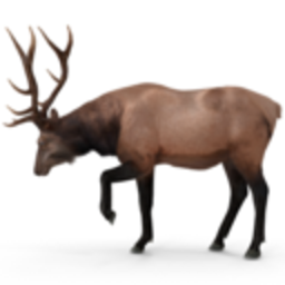 Elk — animal emoji for Slack & Discord (Discord)