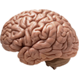 Brains 2 — brain emoji for Slack & Discord (Discord)
