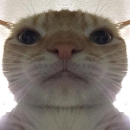 Cat — cat emoji for Slack & Discord (Discord)