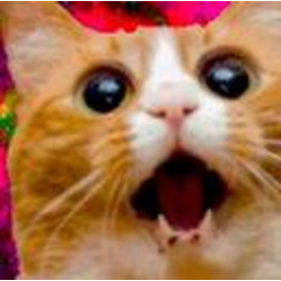 Space Cat 2 — cat emoji for Slack & Discord (Discord)