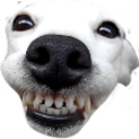 Dog Smile — dog emoji for Slack & Discord