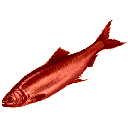 Redherring — fish emoji for Slack & Discord