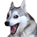 Pundog — pundog emoji for Slack & Discord