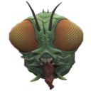 Formiga — animal emoji for Slack & Discord