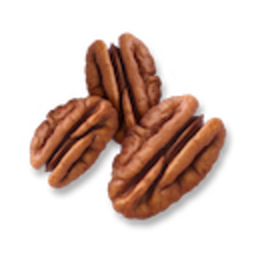 Pecans — food emoji for Slack & Discord (Discord)