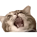 Jonas Yassing — cat emoji for Slack & Discord